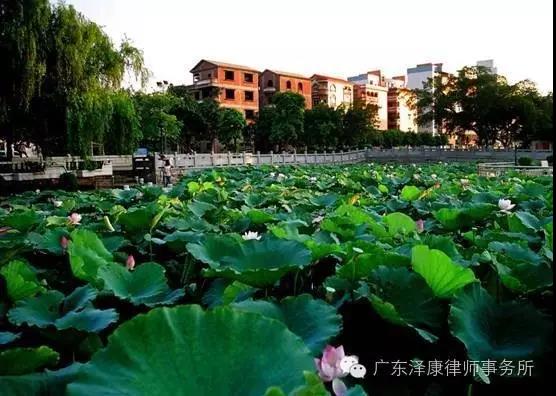 微信图片_20200421103606.jpg